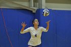 Wheaton Women's Volleyball  Wheaton Women's Volleyball vs Bridgewater State University. : Wheaton, Volleyball, BSU, Bridgewater State College